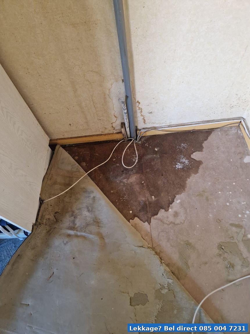 Waterschade vloer lekkage