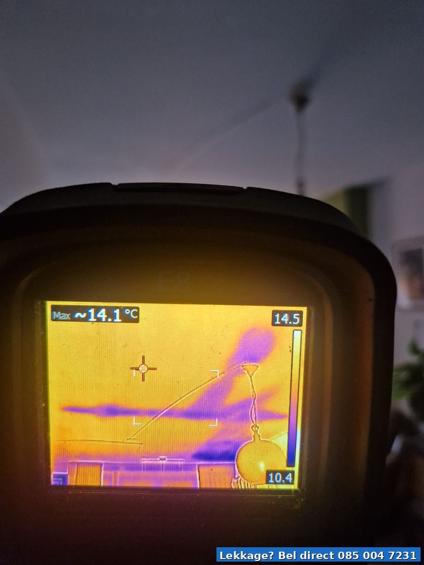 FLIR thermografie vochtplek plafond