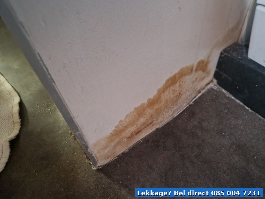 Vochtplek muur detectie